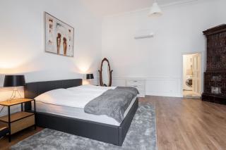 Classical apartment with modern style downtown! - Budapest - 5