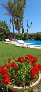 Villa Orchidea - Marzamemi - 3