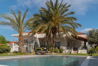 Propodes Luxury Villa - Pastida - 9