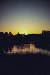 Boho Park Glamping - Zawiszyn - 9