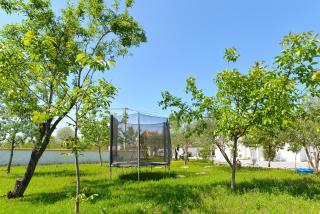 Family-friendly holiday home with private pool near Vodice - 9