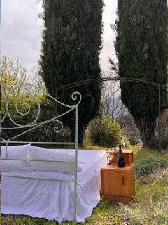 Tenuta Il Colle di Tiglio - Barga - 6