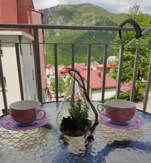 Apartman Andjela - Plužine - 1