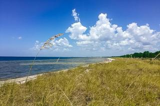 Windmark - Sea Grove Guesthouse - Saint Joe Beach - 9