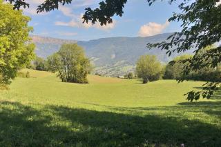 La dépendance du château de Triviers. - 5