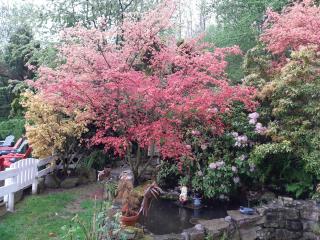 Studio à Ban de Sapt - 0