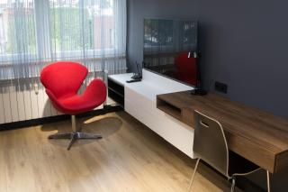 Apartament NEPTUN Centrum - Gliwice - 5