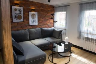Apartament NEPTUN Centrum - Gliwice - 0