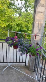 Guest House Vodica - Virpazar - 5