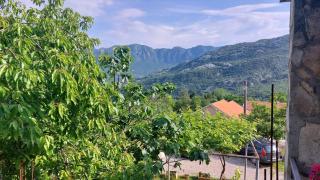 Guest House Vodica - Virpazar - 4