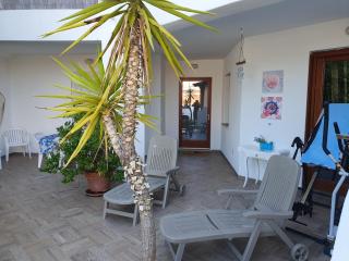 Casa vacanza in riva al mare - Arzachena - 6
