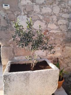 Villa Lavanda - Sumartin - 8