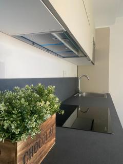 Sul VenTo del Po - Melara - 1
