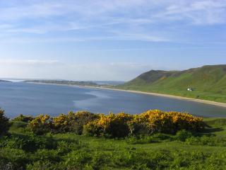 Burry Farm Cottage - Swansea - 0
