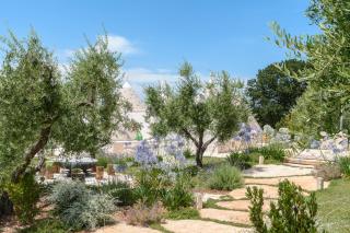 Trulli Santa Croce - Luxury Holiday - - Locorotondo - 1