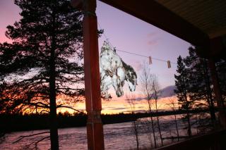 Luongasloma Chalets - Palojoensuu - 1
