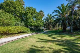 Beachside Apartment at Palm - Coast & Country - Palm Beach - 5