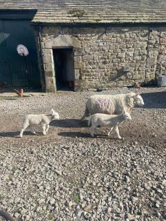 Sheep’s Bit - Edale - 2