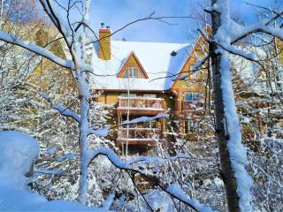 Tremblant Prestige - Plateau 230-3 - 8