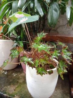 Burgos Hub Hostel - 1