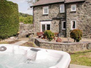 Gwern Borter Manor - Conwy - 8