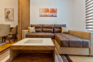 Apartman R3 Vila Zlatibor - Zlatibor - 2