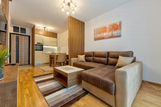 Apartman R3 Vila Zlatibor - Zlatibor - 0