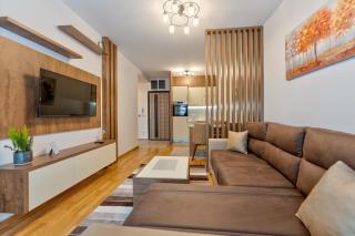 Apartman R3 Vila Zlatibor - Zlatibor - 5