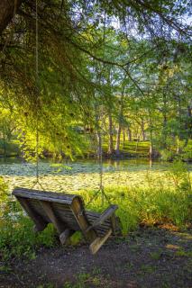 Medina River Historic Cottage - 3