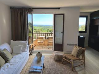 Appt Haut Standing, Balcon, Piscine, Internet, Parking - FR-1-726-27 - La Croix-Valmer - 0