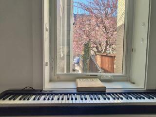 Great area, beautiful & Free parking - 4