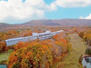 Hakodate-Onuma Prince Hotel - 4