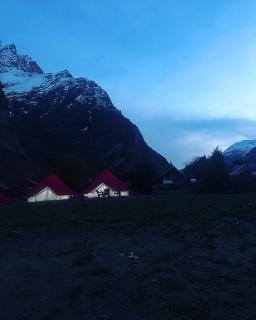 Bored Ape Jispa - Camp Site - 4