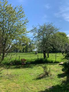 Moulin de Champrond -Montmirail -Sarthe - Champrond - 3