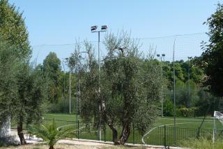 Camping Villaggio Internazionale - San Menaio - 3