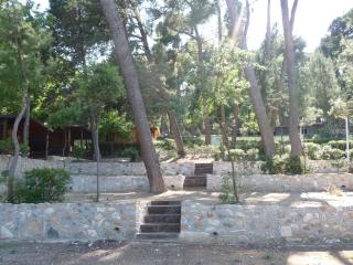 Camping Villaggio Internazionale - San Menaio - 1