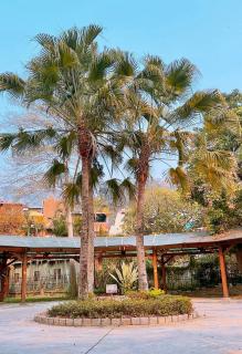 TokuGawa Hotel - Shuili - 8