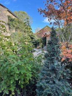 Beautiful grade 2 listed cotswold Stone Cottage - 2