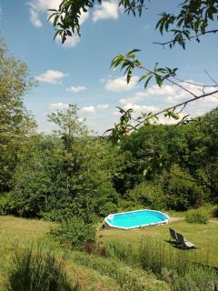 Apartment with view and garden - Quercia - Ghizzano - 5