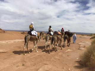 Camp Mhamid Sahara Tours - 5