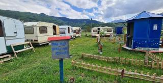 Lakeside Camping - 1