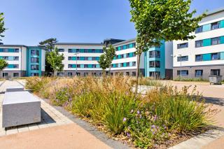 Spacious Bedrooms with Shared Bathroom and Kitchen at Bridges in Reading - 6