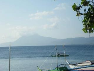 Room in Lobo Triple N Home stay 1st N - Lobo - 9