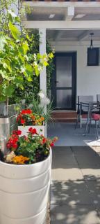 Apartman Stura 1 - Zadar - 2