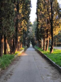 Mala Villa - Kaštela - 7