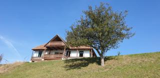 Hillside View Cottage - Csíksomlyó-panoráma vendégház - Păuleni-Ciuc - 9