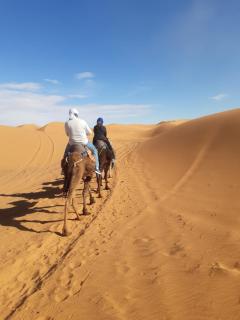 Camp luxury african - Merzouga - 1