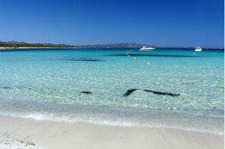 Grazioso bilocale a Porto Rotondo in Costa Smeralda - 9