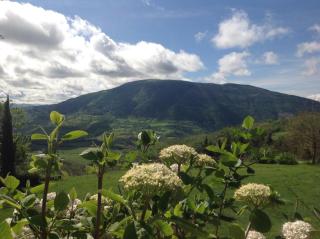Agriturismo Le Sorgenti - 5