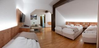 Santner, Hotel - Eugendorf - 3
